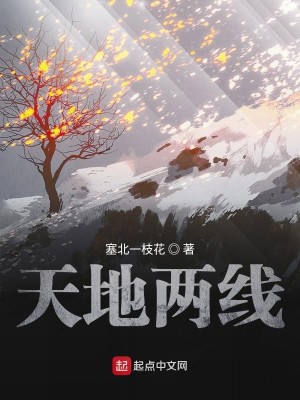 Bìa truyện Thiên Địa Lưỡng Tuyến (天地两线)