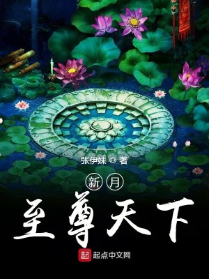Bìa truyện Tân Nguyệt Chí Tôn Thiên Hạ (新月至尊天下)