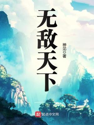 Bìa truyện Vô Địch Thiên Hạ (无敌天下)