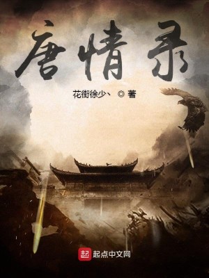 Bìa truyện Đường Tình Lục (唐情录)