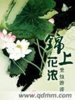 Bìa truyện Cẩm Thượng Hoa Nùng (锦上花浓)