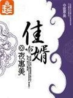 Bìa truyện Giai Tế (佳婿)