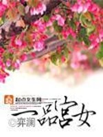 Bìa truyện Nhất Phẩm Cung Nữ (一品宫女)