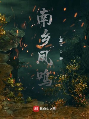 Bìa truyện Nam Hương Phượng Minh (南乡凤鸣)