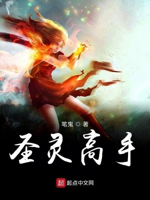 Bìa truyện Thánh Linh Cao Thủ (圣灵高手)