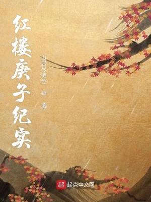 Bìa truyện Hồng Lâu Canh Tử Kỉ Thực (红楼庚子纪实)