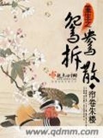 Bìa truyện Trọng Sinh Chi Uyên Ương Sách Tán (重生之鸳鸯拆散)
