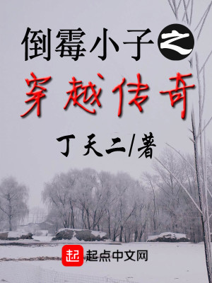 Bìa truyện Đảo Môi Tiểu Tử Chi Xuyên Việt Truyện Kì (倒霉小子之穿越传奇)