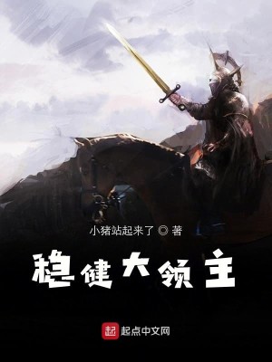Bìa truyện Ổn Kiện Đại Lĩnh Chủ (稳健大领主)