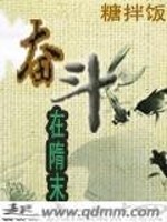 Bìa truyện Phấn Đấu Tại Tùy Mạt (奋斗在隋末)