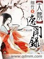 Bìa truyện Đại Ngụy Dật Văn Lục (大魏逸闻录)