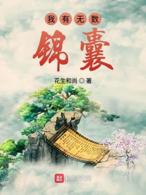 Bìa truyện Ngã Hữu Vô Sổ Cẩm Nang (我有无数锦囊)