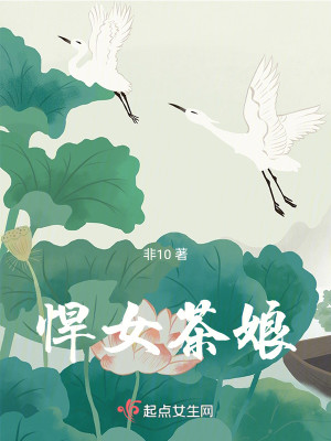 Bìa truyện Hãn Nữ Trà Nương (悍女茶娘)