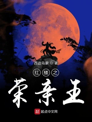 Bìa truyện Hồng Lâu Chi Vinh Thân Vương (红楼之荣亲王)