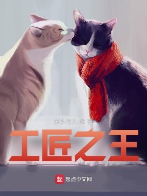 Bìa truyện Công Tượng Chi Vương (工匠之王)
