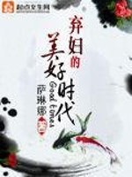 Bìa truyện Khí Phụ Đích Mĩ Hảo Thời Đại (弃妇的美好时代)