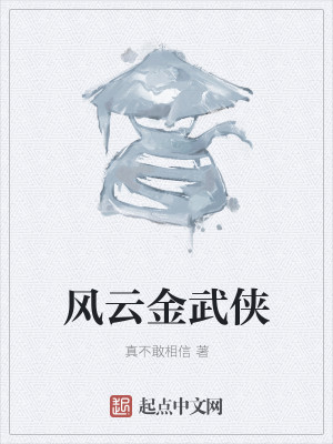 Bìa truyện Phong Vân Kim Vũ Hiệp (风云金武侠)