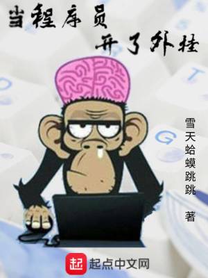 Bìa truyện Đương Trình Tự Viên Khai Liễu Ngoại Quải (当程序员开了外挂)