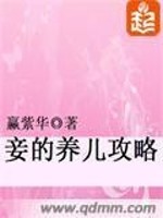 Bìa truyện Thiếp Đích Dưỡng Nhân Công Lược (妾的养儿攻略)