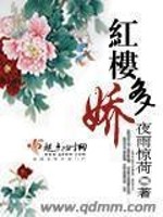 Bìa truyện Hồng Lâu Đa Kiều (红楼多娇)