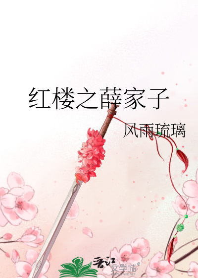 Bìa truyện Hồng Lâu Chi Tiết Gia Tử (红楼之薛家子)