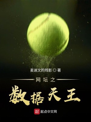 Bìa truyện Võng Đàn Chi Sổ Cư Thiên Vương (网坛之数据天王)