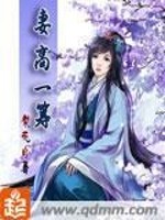 Bìa truyện Thê Cao Nhất Trù (妻高一筹)