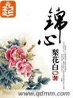 Bìa truyện Cẩm Tâm (锦心)