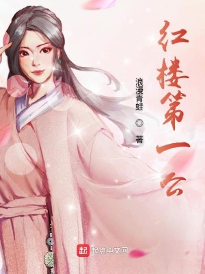 Bìa truyện Hồng Lâu Đệ Nhất Công (红楼第一公)