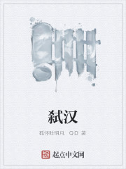 Bìa truyện Thí Hán (弑汉)
