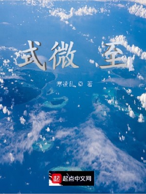 Bìa truyện Thức Vi Chí (式微至)