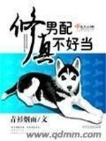 Bìa truyện Tu Chân Nam Phối Bất Hảo Đương (修真男配不好当)