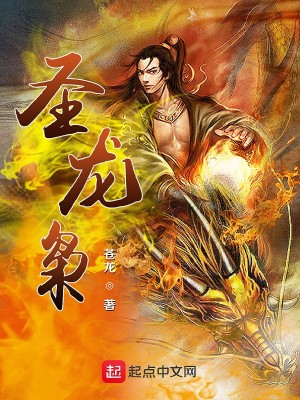 Bìa truyện Thánh Long Kiêu (圣龙枭)