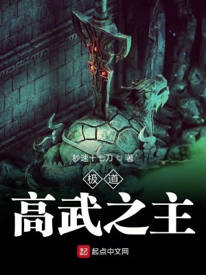 Bìa truyện Cực Đạo Cao Vũ Chi Chủ (极道高武之主)