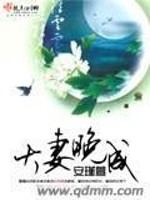 Bìa truyện Đại Thê Vãn Thành (大妻晚成)