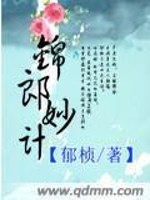 Bìa truyện Cẩm Lang Diệu Kế (锦郎妙计)