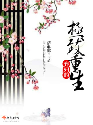 Bìa truyện Khí Phụ Đích Cực Trí Trọng Sinh (弃妇的极致重生)