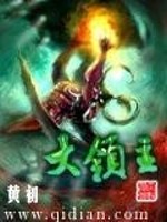 Bìa truyện Đại Lĩnh Chủ (大领主)