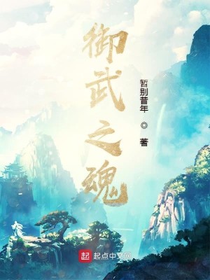 Bìa truyện Ngự Vũ Chi Hồn (御武之魂)