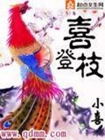 Bìa truyện Hỉ Đăng Chi (喜登枝)