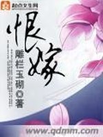 Bìa truyện Hận Giá (恨嫁)