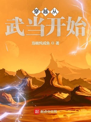Bìa truyện Xuyên Việt Tòng Vũ Đương Khai Thủy (穿越从武当开始)