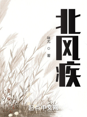 Bìa truyện Bắc Phong Tật (北风疾)