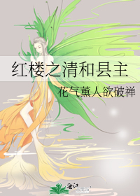 Bìa truyện Hồng Lâu Chi Thanh Hòa Huyền Chủ (红楼之清和县主)
