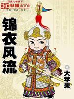 Bìa truyện Cẩm Y Phong Lưu (锦衣风流)