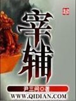 Bìa truyện Tể Phụ (宰辅)