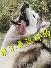 Bìa truyện Lang Bất Thị Giá Dạng Đích (狼不是这样的)