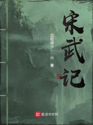 Bìa truyện Tống Vũ Kí (宋武记)