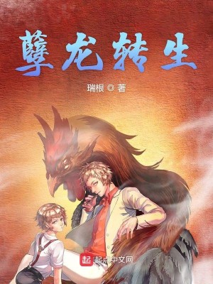 Bìa truyện Nghiệt Long Chuyển Sinh (孽龙转生)