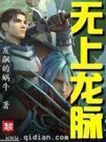 Bìa truyện Vô Thượng Long Mạch (无上龙脉)